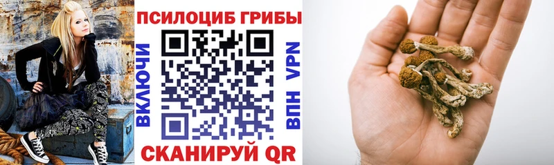 Галлюциногенные грибы Psilocybe  дарнет шоп  Вышний Волочёк 